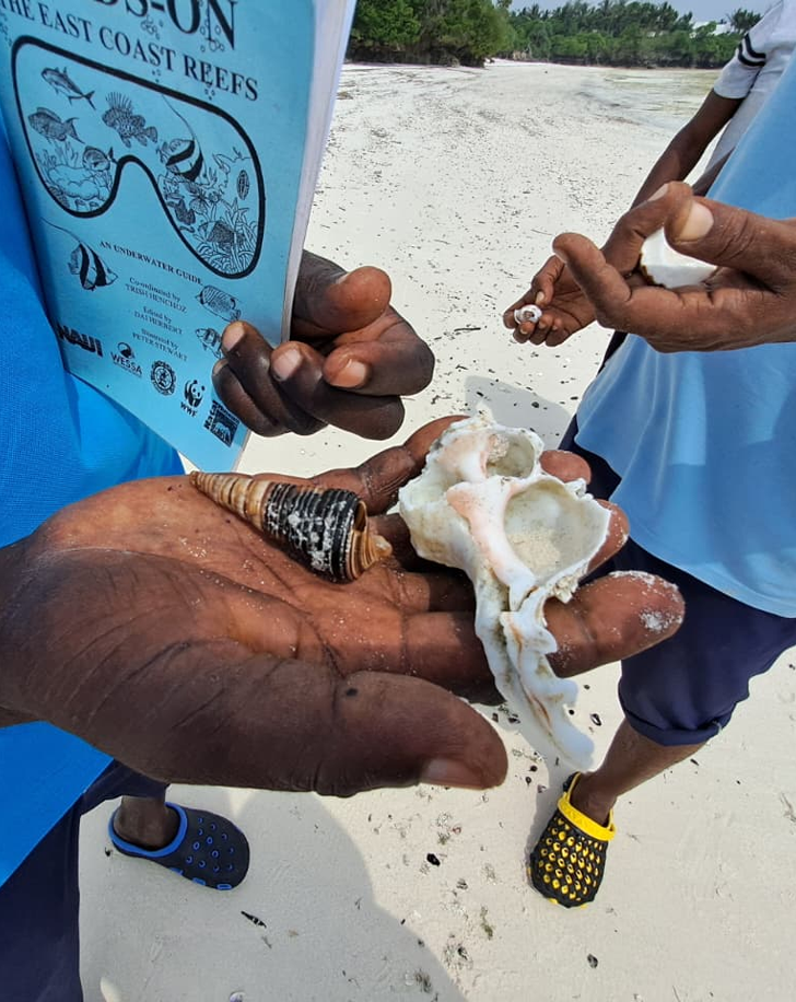 Dynamic Content Image